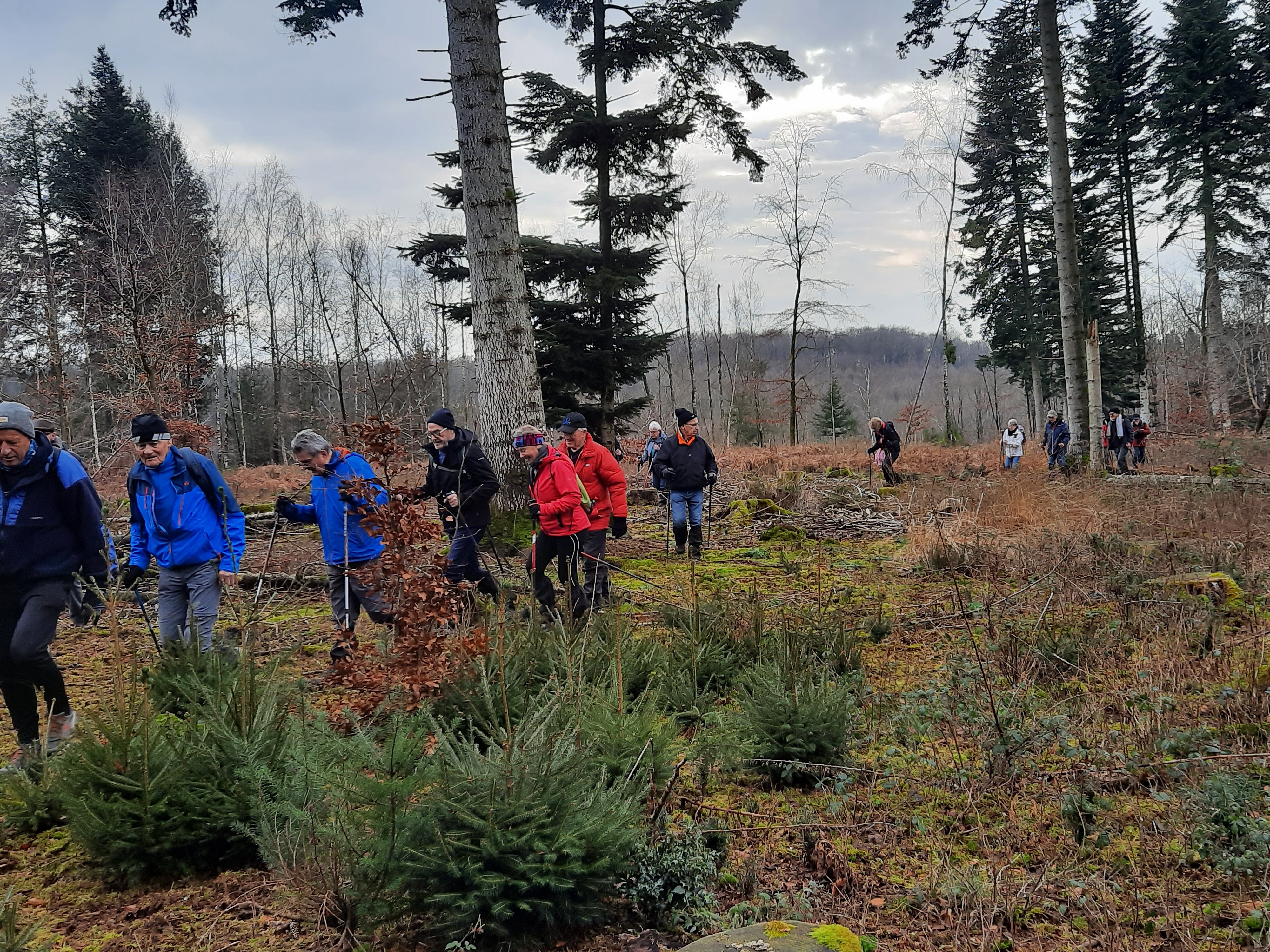 Tout le monde marche d'un bon pas