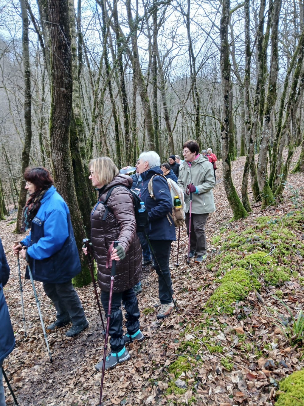 Qu'y a t'il de si curieux à voir?