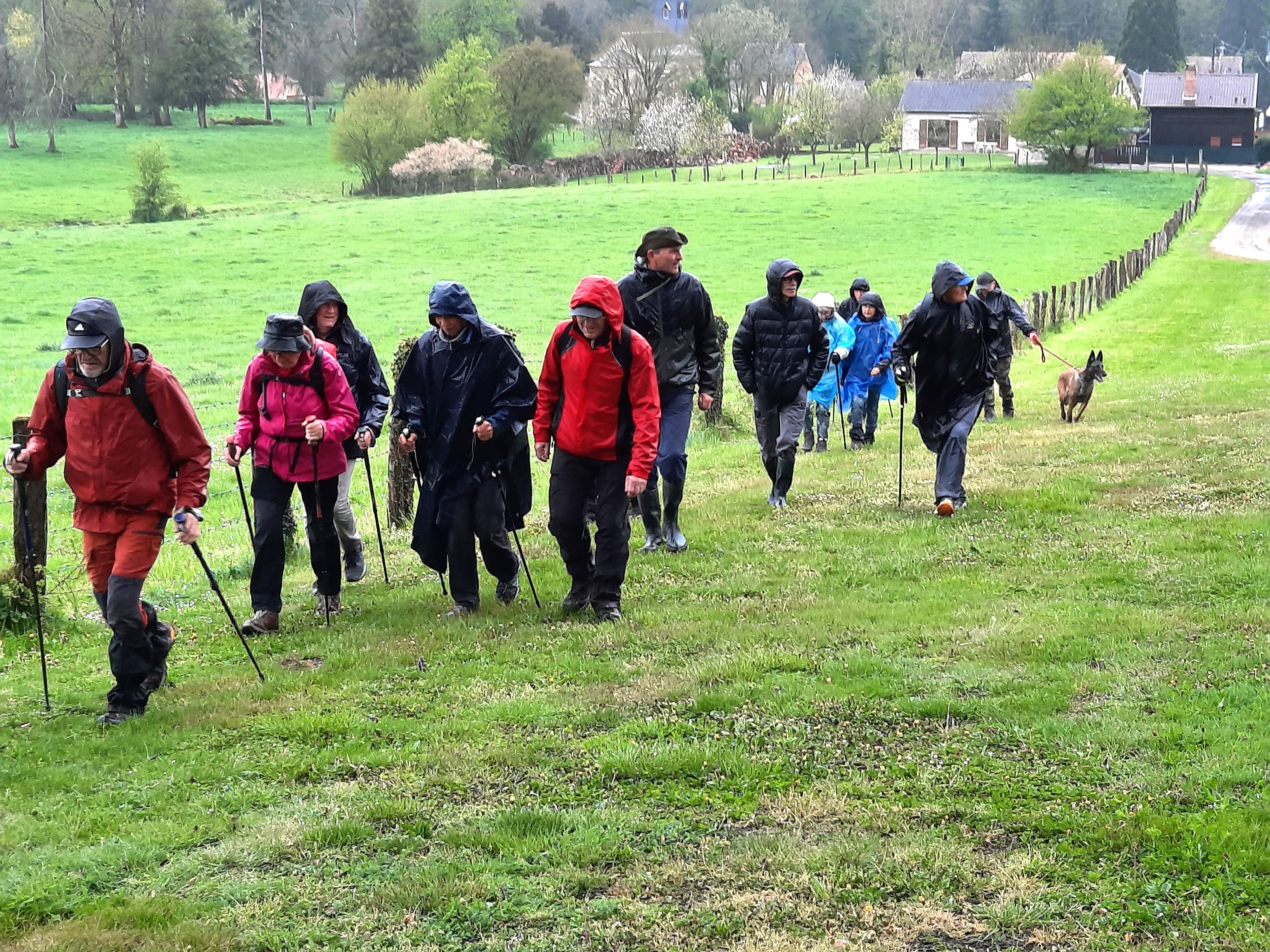 Temps humide et froid