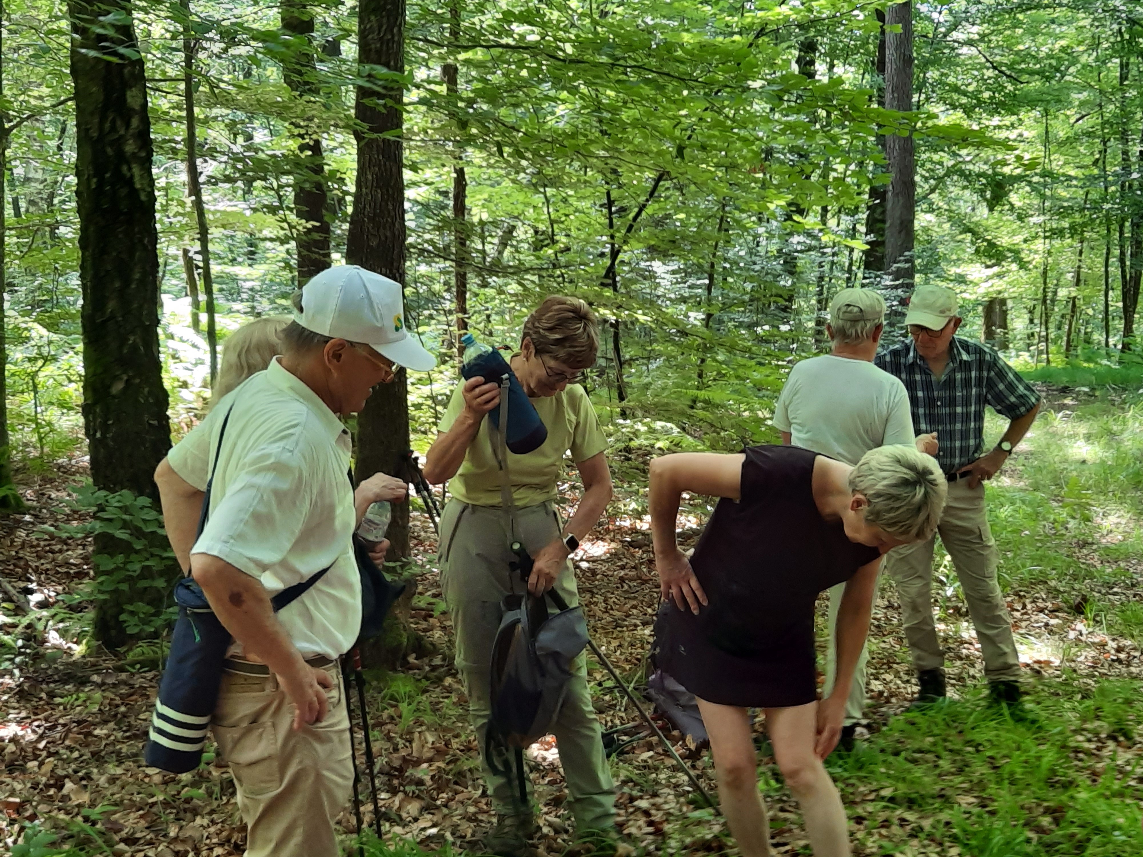 Certains, certaines les attirent.