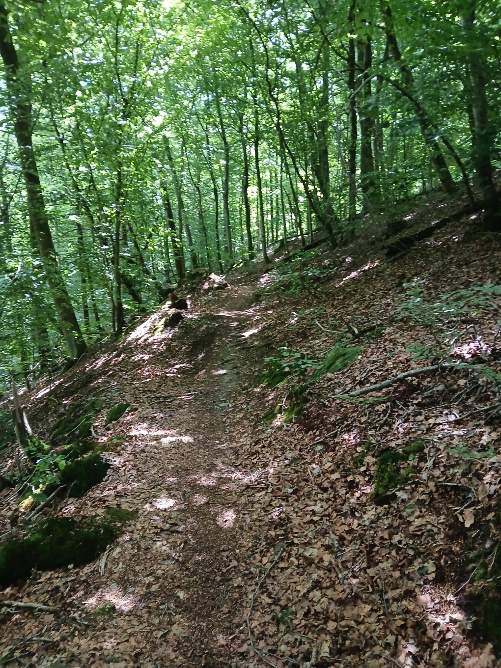 rando Florent 9/7/25