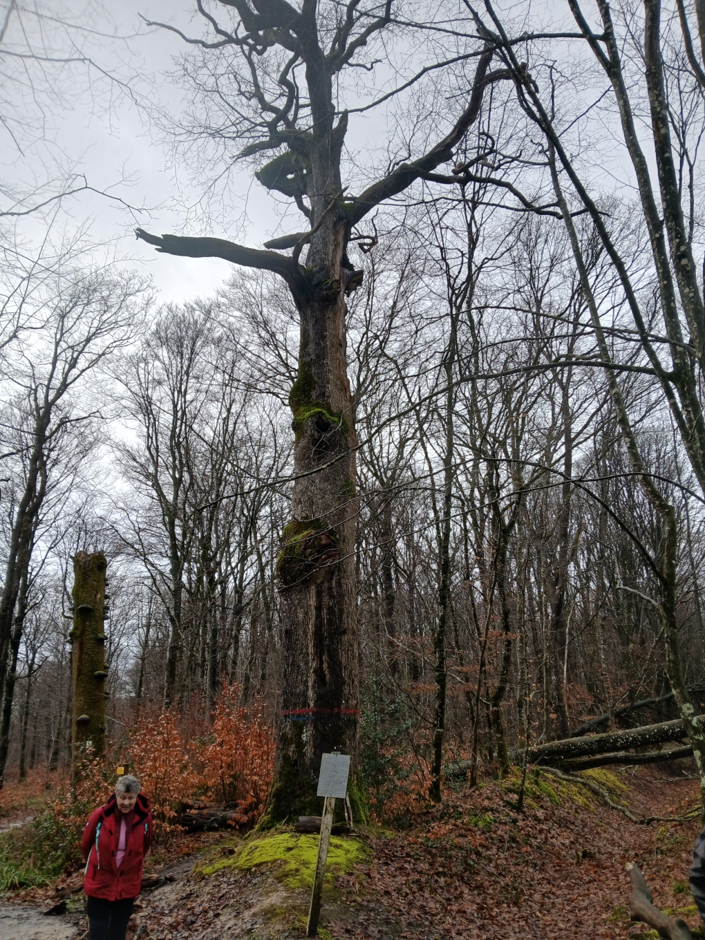rando du 11/02/26 cote de biesmes