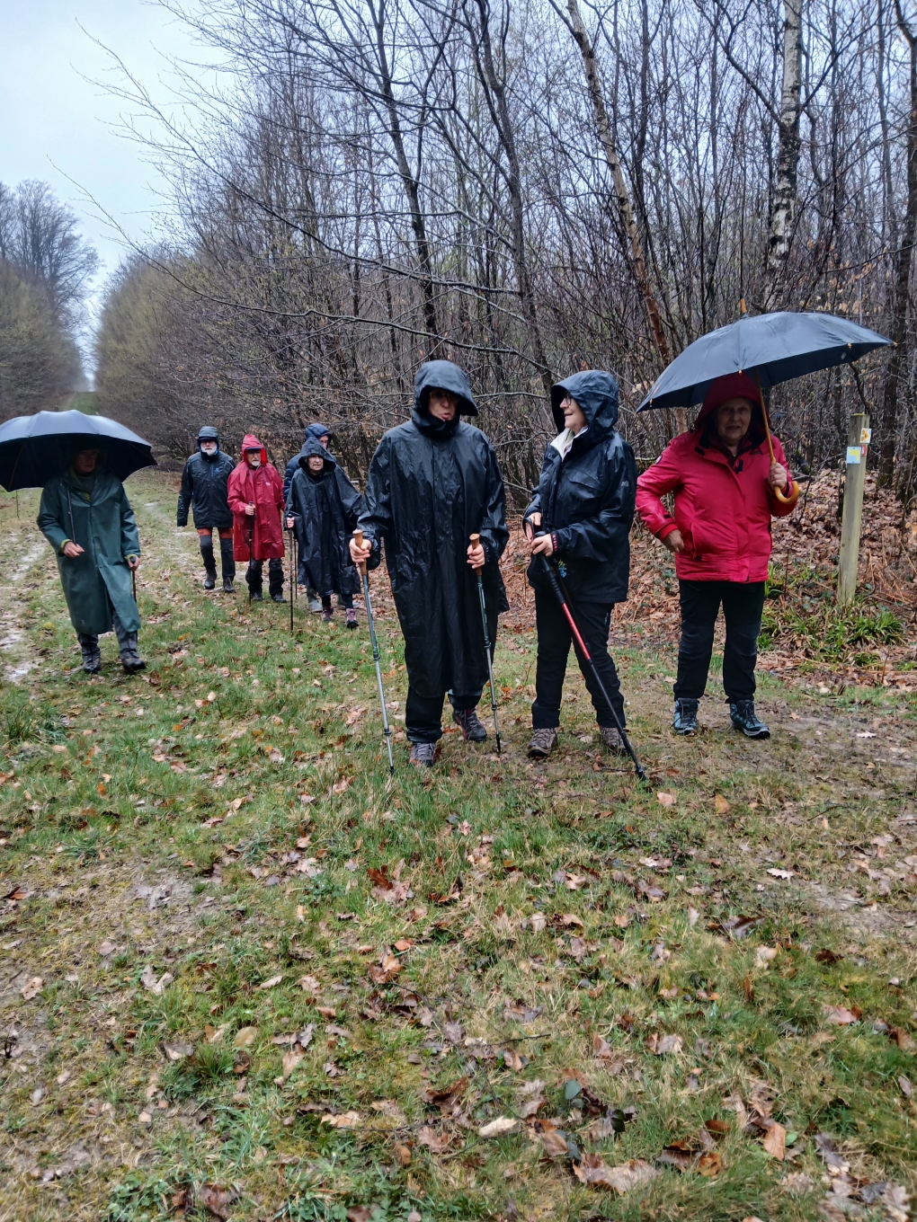 Parapluie, cape, en veux tu , en voilà
