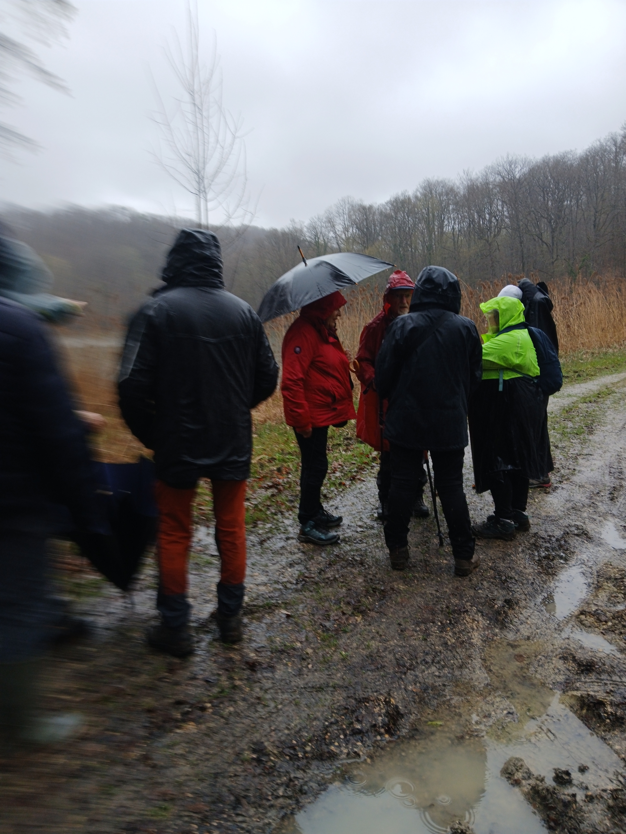 petite pause benefique à l 'ombre des parapluies