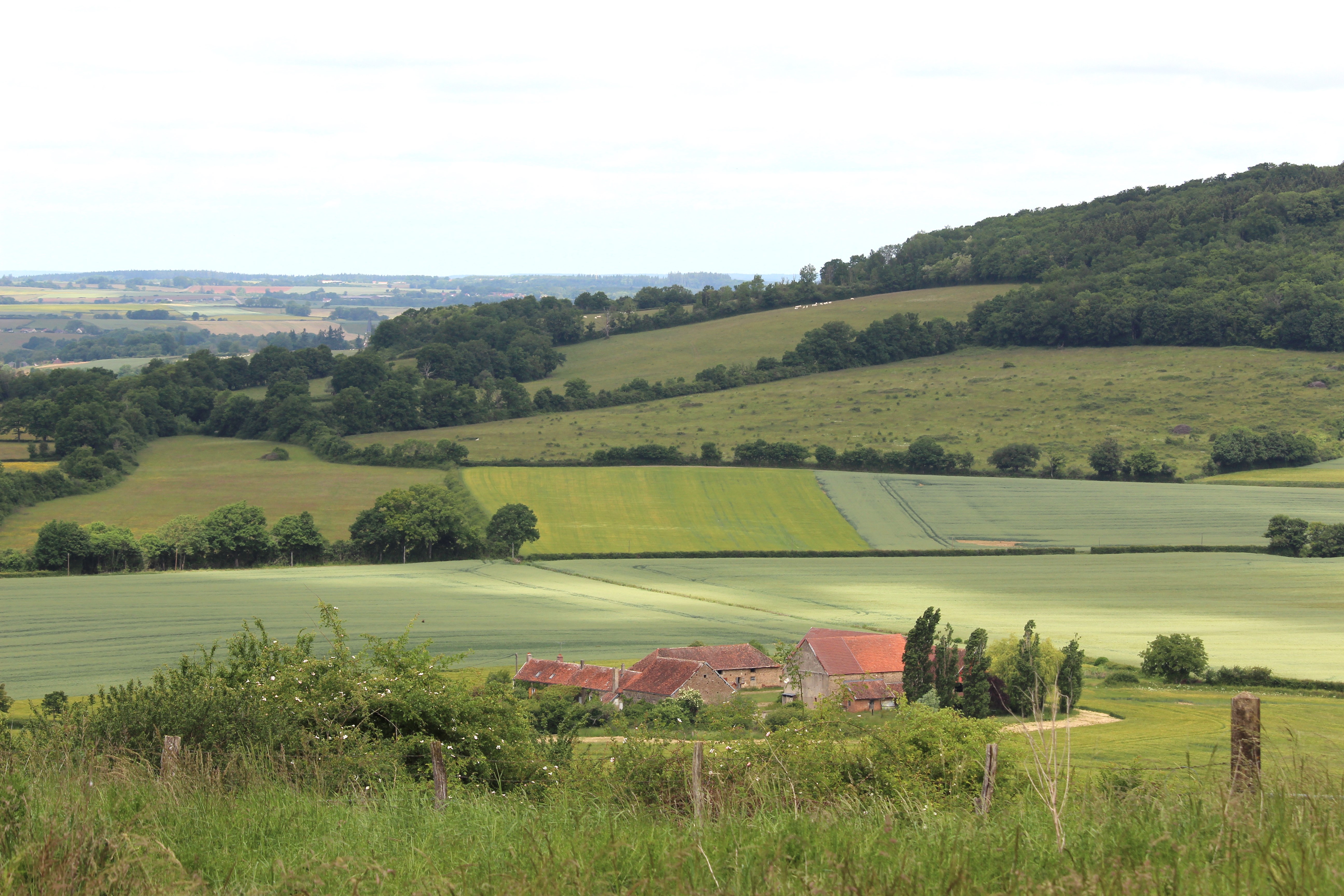 Paysage du coté de Précy sous Thil