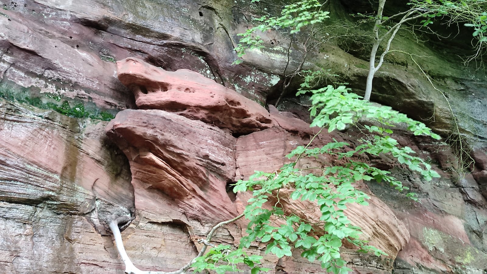 Sortie Bitche Pentecote 2024