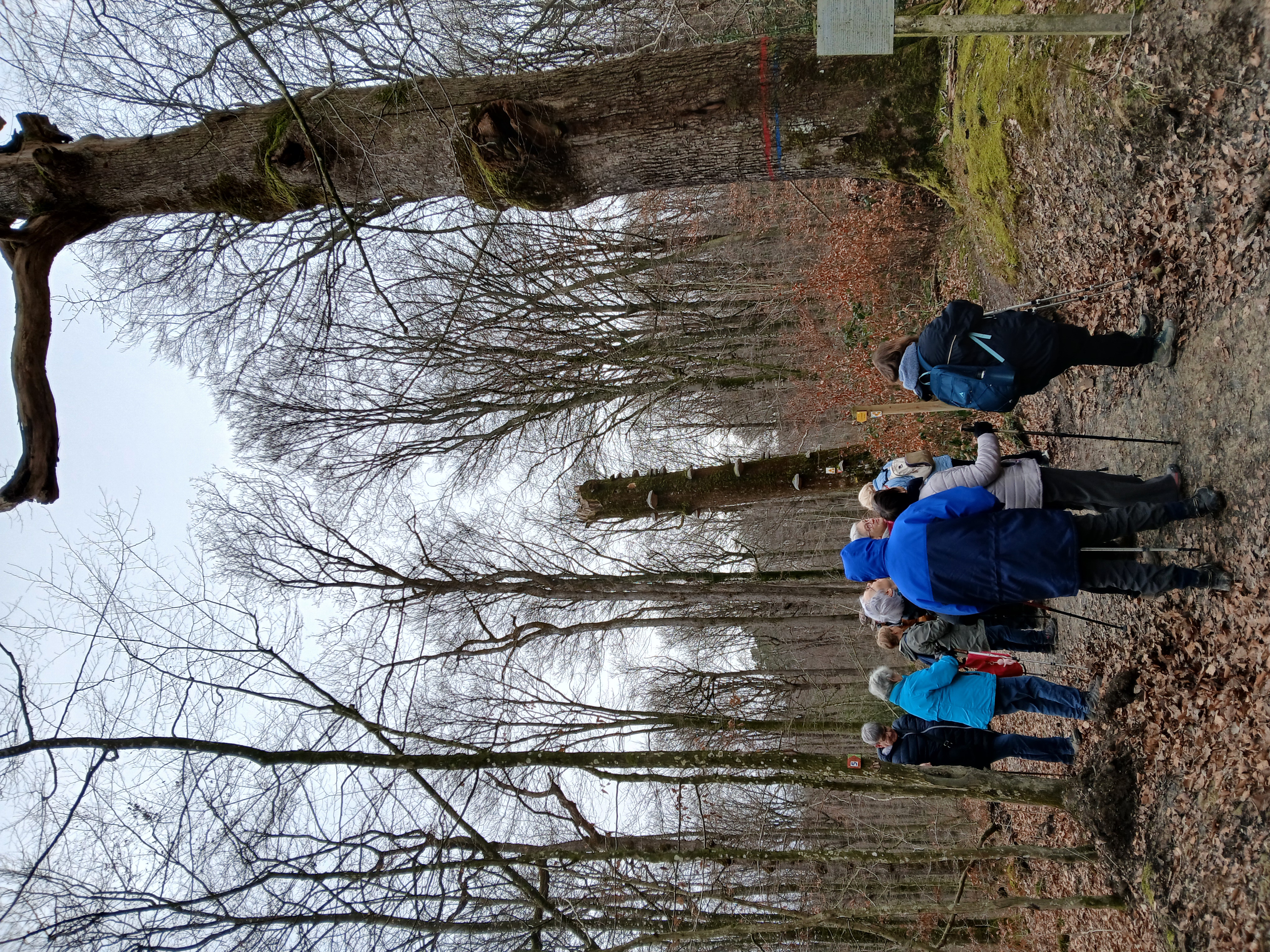 Rando 6/8 cote de Biemes