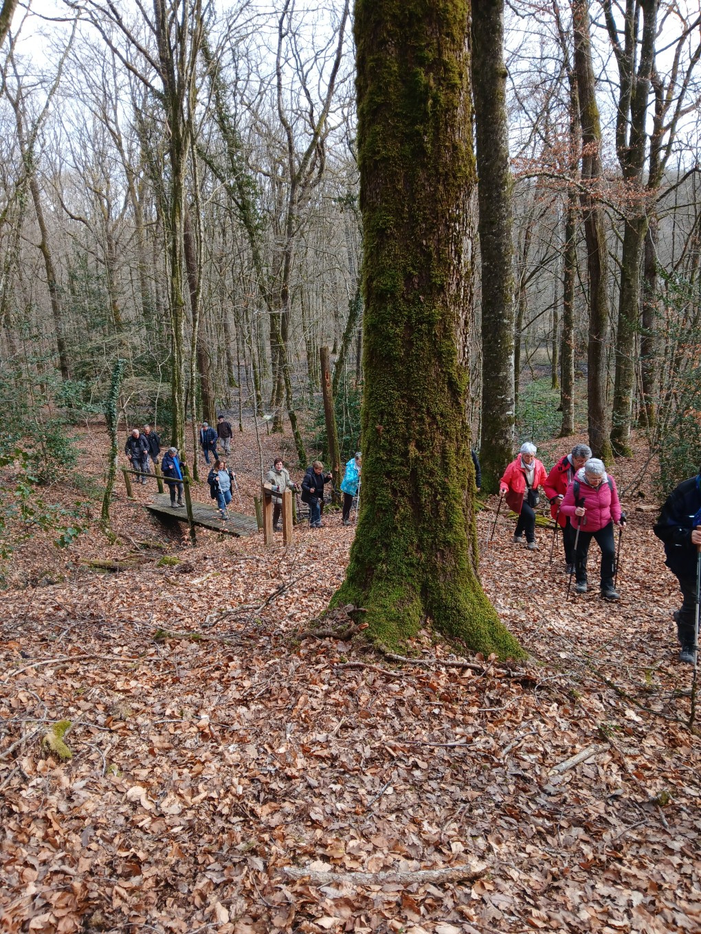 rando du 12 mars à chatrices